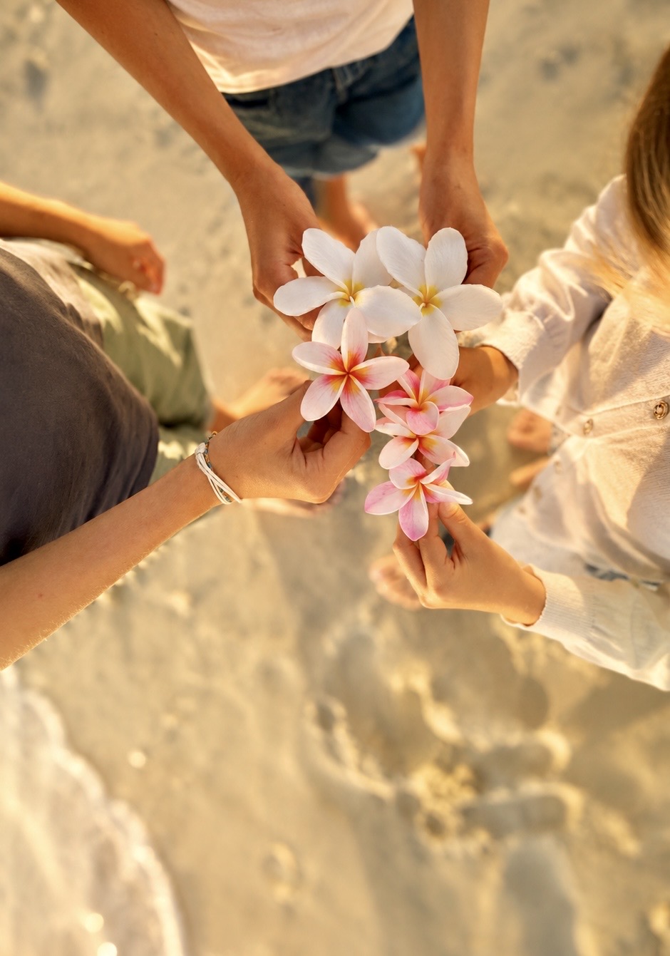 Sea Care Harmonie